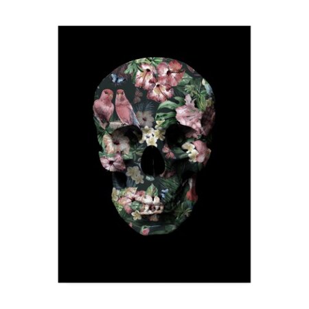Design Fabrikken 'Tropic Skull Fabrikken' Canvas Art,18x24